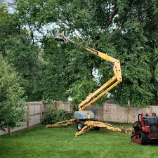  Ellicott City, MD Tree Services Pros