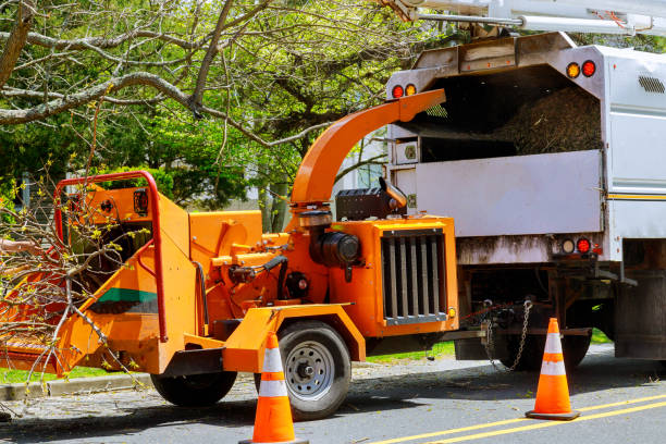 Best Landscape Design and Installation  in Ellicott City, MD