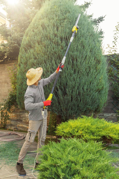 Seasonal Cleanup (Spring/Fall) in Ellicott City, MD